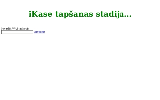 Rīgas Starptautiskā autoosta, AS